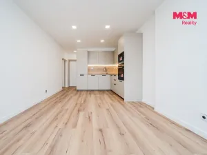 Prodej bytu 4+kk, Ostrava - Hrabůvka, Holasova, 78 m2