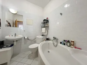 Pronájem bytu 1+1, Praha - Nusle, Spytihněvova, 43 m2