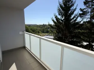 Pronájem bytu 3+kk, Plzeň, Waltrova, 79 m2