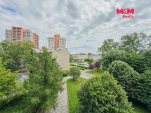Pronájem bytu 1+kk, Bohumín - Nový Bohumín, 30 m2