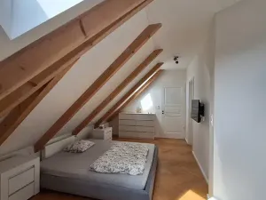 Pronájem bytu 2+1, Praha - Karlín, Březinova, 90 m2