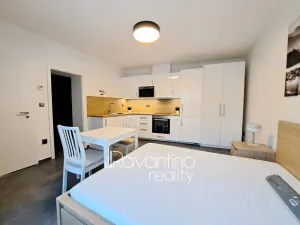 Pronájem bytu 1+kk, Brno, Vzhledná, 21 m2