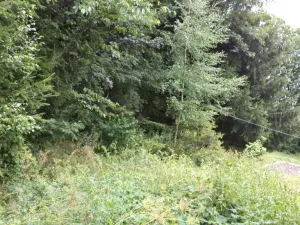 Prodej pozemku, Svoboda nad Úpou, 947 m2