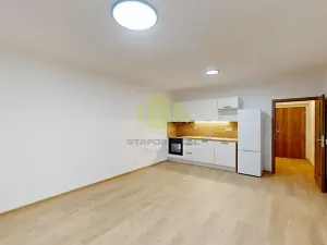 Pronájem bytu 1+kk, Olomouc, Janského, 38 m2