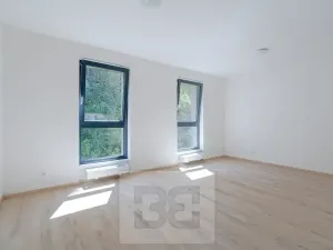 Pronájem bytu 1+kk, Liberec, Vítězná, 37 m2
