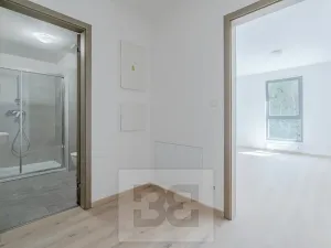 Pronájem bytu 1+kk, Liberec, Vítězná, 37 m2