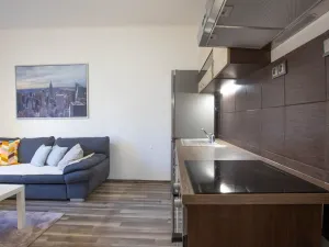Pronájem bytu 2+kk, Praha - Žižkov, Jana Želivského, 56 m2