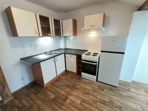 Pronájem bytu 1+kk, Ústí nad Labem, Londýnská, 52 m2