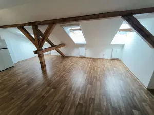 Pronájem bytu 1+kk, Ústí nad Labem, Londýnská, 52 m2