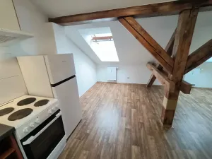 Pronájem bytu 1+kk, Ústí nad Labem, Londýnská, 52 m2
