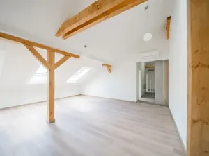 Pronájem bytu 3+kk, Praha - Nové Město, Václavské náměstí, 92 m2