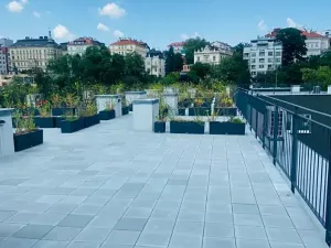 Pronájem bytu 2+kk, Praha - Vinohrady, Perucká, 36 m2