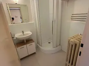 Prodej bytu 1+1, Praha - Vršovice, Užocká, 49 m2