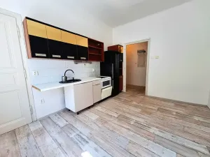 Pronájem bytu 1+1, Praha - Vyšehrad, Neklanova, 42 m2