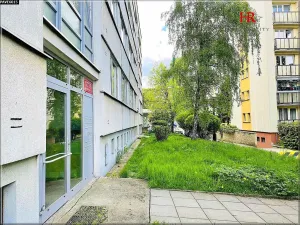 Pronájem bytu 3+kk, Benešov, Bezručova, 53 m2