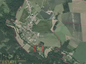 Prodej lesa, Prostějovičky, 1251 m2
