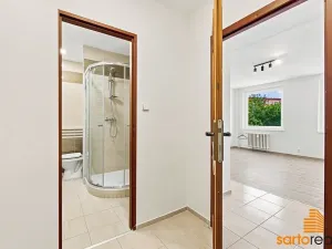 Pronájem bytu 1+kk, Ústí nad Labem, Spartakiádní, 31 m2