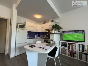 Pronájem bytu 1+kk, Brno, Pastviny, 58 m2