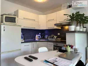 Pronájem bytu 1+kk, Brno, Pastviny, 58 m2