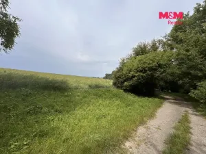 Prodej pole, Prostějov - Žešov, 10932 m2
