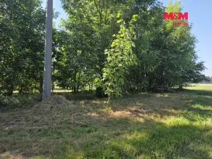 Prodej pozemku pro bydlení, Bor - Boječnice, 1093 m2