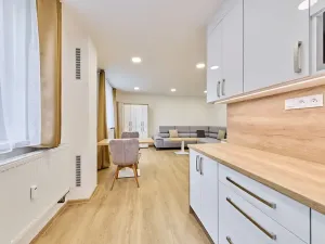 Prodej bytu 2+1, Trutnov, Úpské nábřeží, 56 m2