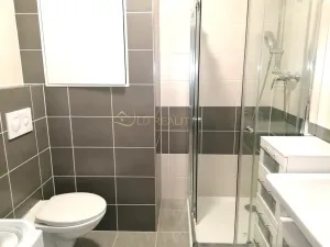 Pronájem bytu 1+kk, Olomouc - Povel, Janského, 28 m2