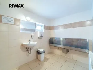 Prodej rodinného domu, Svinaře, Zelená Hora, 500 m2