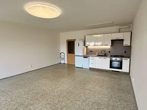 Pronájem bytu 1+kk, Brno, Vavřinecká, 41 m2