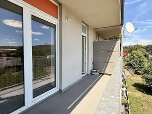 Pronájem bytu 1+kk, Brno, Vavřinecká, 41 m2