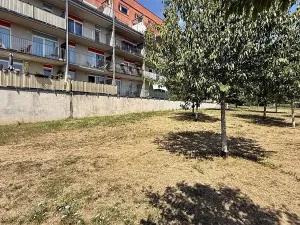 Pronájem bytu 1+kk, Brno, Vavřinecká, 41 m2