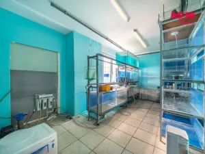 Prodej bytu 3+kk, Skořice, 73 m2