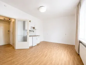 Pronájem bytu 1+kk, Praha - Nové Město, Biskupský dvůr, 26 m2