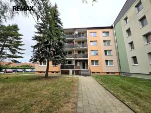 Pronájem bytu 1+kk, Doloplazy, 31 m2