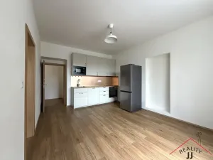 Pronájem bytu 2+kk, Praha - Břevnov, Bělohorská, 45 m2