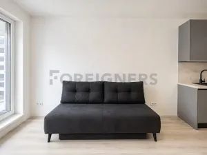 Pronájem bytu 1+kk, Brno, Dornych, 32 m2