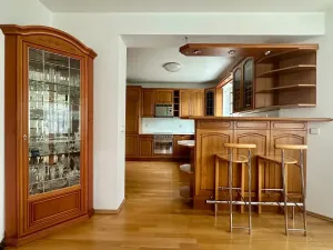 Pronájem rodinného domu, Bašť, Za Vilou, 300 m2