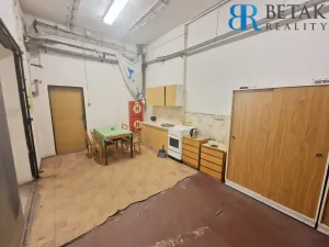 Pronájem obchodního prostoru, Přerov - Přerov II-Předmostí, Teličkova, 257 m2