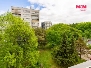 Pronájem bytu 2+kk, Praha - Žižkov, Habrová, 34 m2