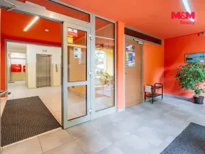 Pronájem bytu 2+kk, Praha - Žižkov, Habrová, 34 m2