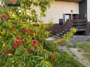 Prodej rodinného domu, Kralovice, Týnecká, 236 m2
