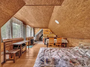 Prodej rodinného domu, Horní Planá, 200 m2