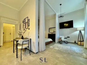 Pronájem bytu 1+1, Praha - Žižkov, Kubelíkova, 50 m2
