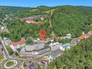 Prodej rodinného domu, Jáchymov, Palackého, 162 m2