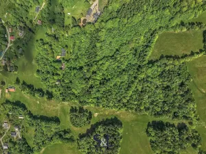 Prodej podílu pozemku pro bydlení, Zlatá Olešnice, 27729 m2