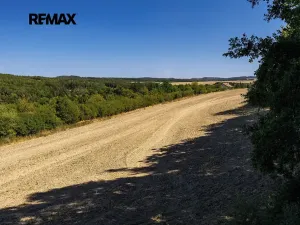Prodej rodinného domu, Zdemyslice, 64 m2