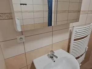 Pronájem bytu 1+kk, Teplice, Emilie Dvořákové, 28 m2