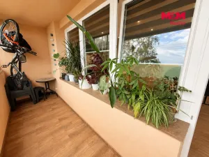 Prodej bytu 3+1, Havířov - Podlesí, Jaroslava Vrchlického, 74 m2