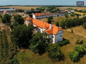 Prodej zemědělské usedlosti, Vlasatice, 5889 m2