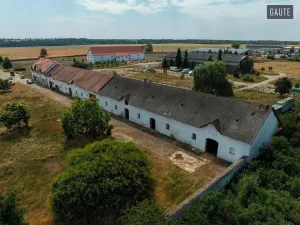 Prodej zemědělské usedlosti, Vlasatice, 5889 m2